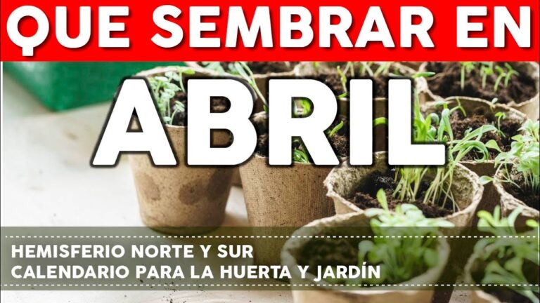 Que se planta en abril en españa