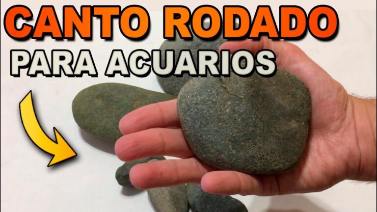 Piedras de rio para acuario